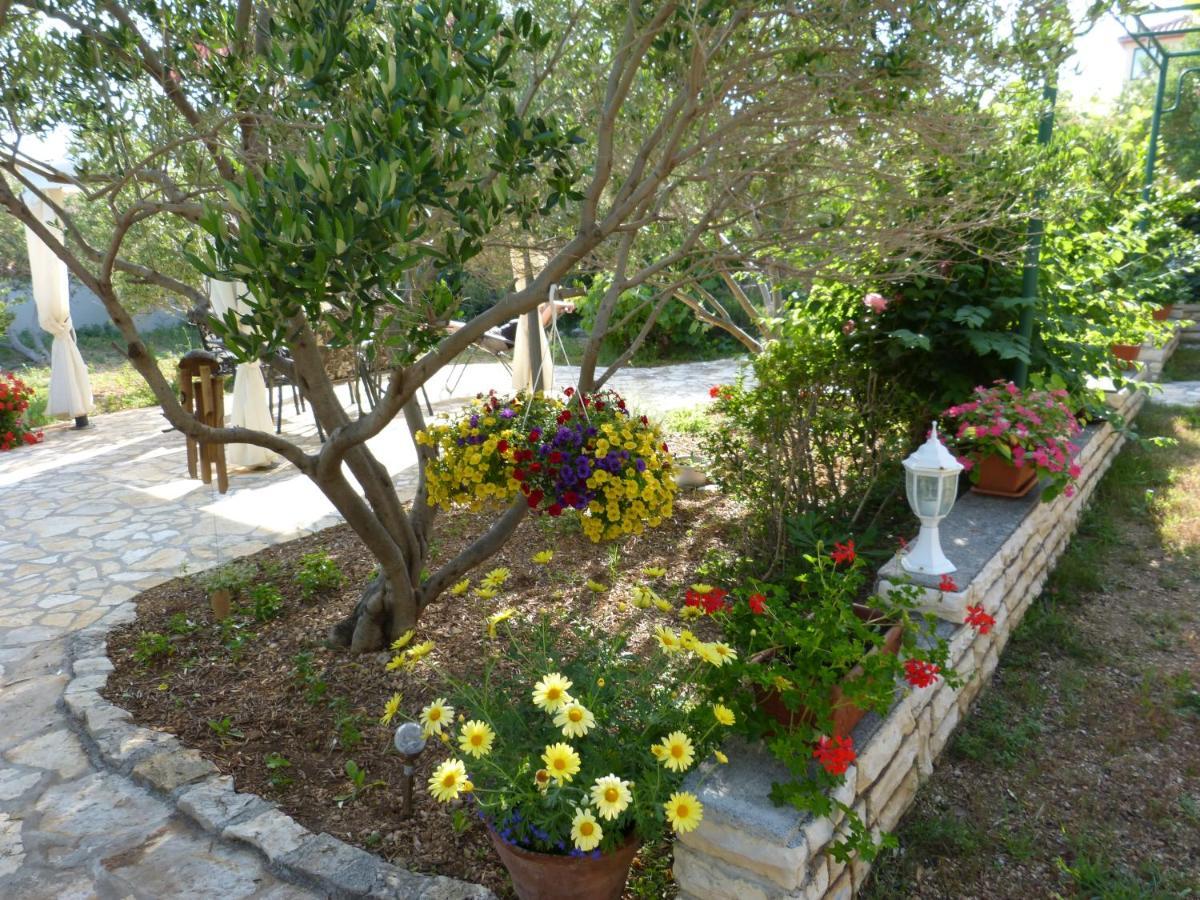 Apartmani Milena Barbat na Rabu المظهر الخارجي الصورة