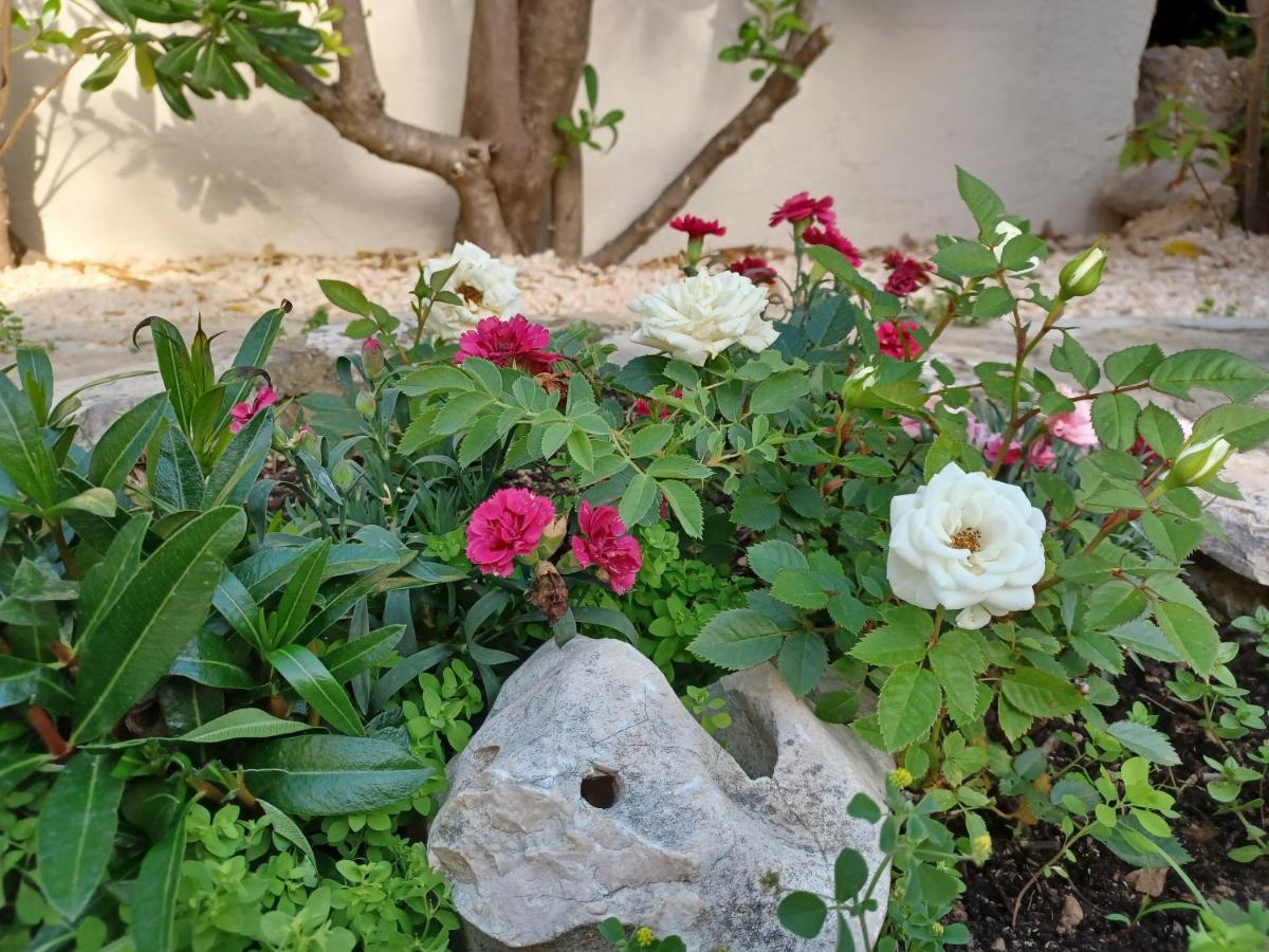 Apartmani Milena Barbat na Rabu المظهر الخارجي الصورة