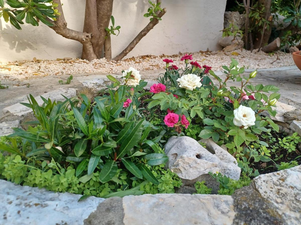 Apartmani Milena Barbat na Rabu المظهر الخارجي الصورة